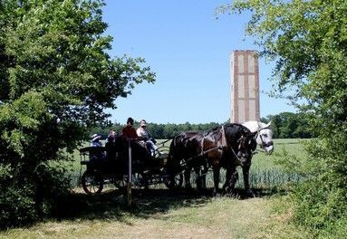 Tour Chappe Le Buat, Saint-Michel-Thubeuf (Orne).
